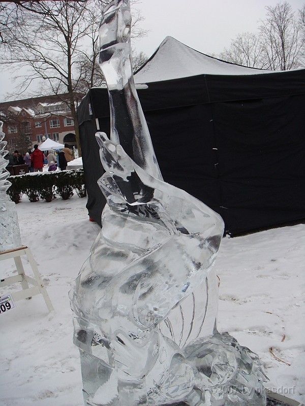 027 Plymouth Ice Show [2008 Jan 26].JPG - Scenes from the Plymouth, Michigan Annual Ice Show.